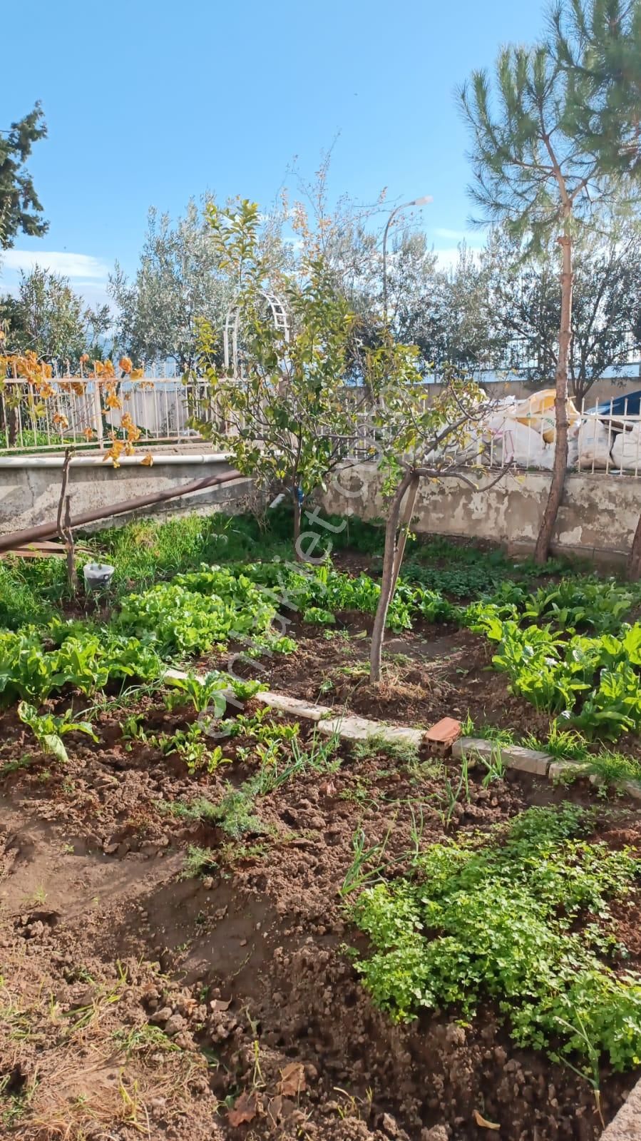 Bornova Atatürk Mah. 3+1 Doğalgazlı Kiralik Bahçe Katı Daire - Görsel 11