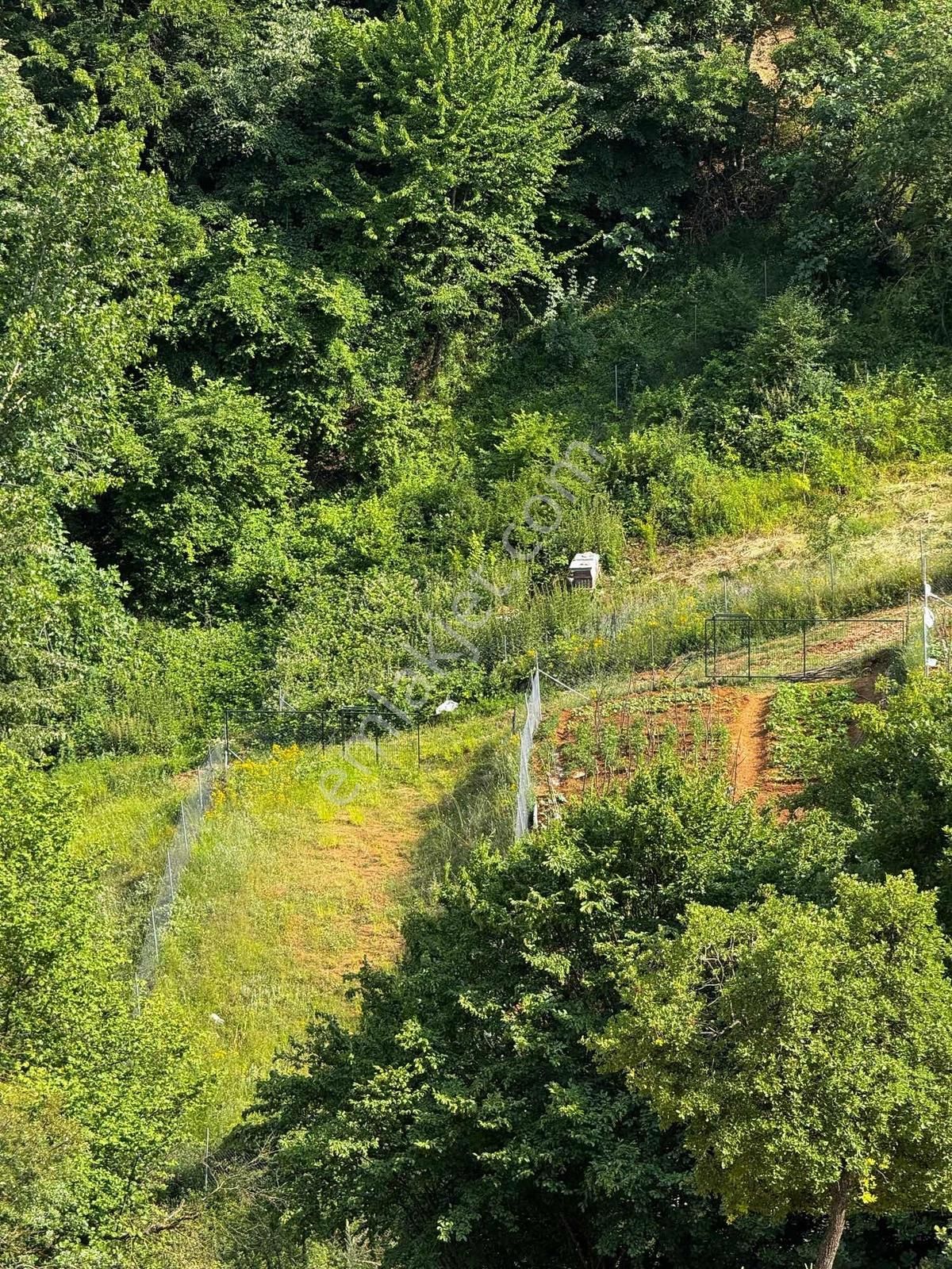 Beynil'den Satılık Kestel Yağmurlu 300m2 Hobi Bahçesi - Görsel 13