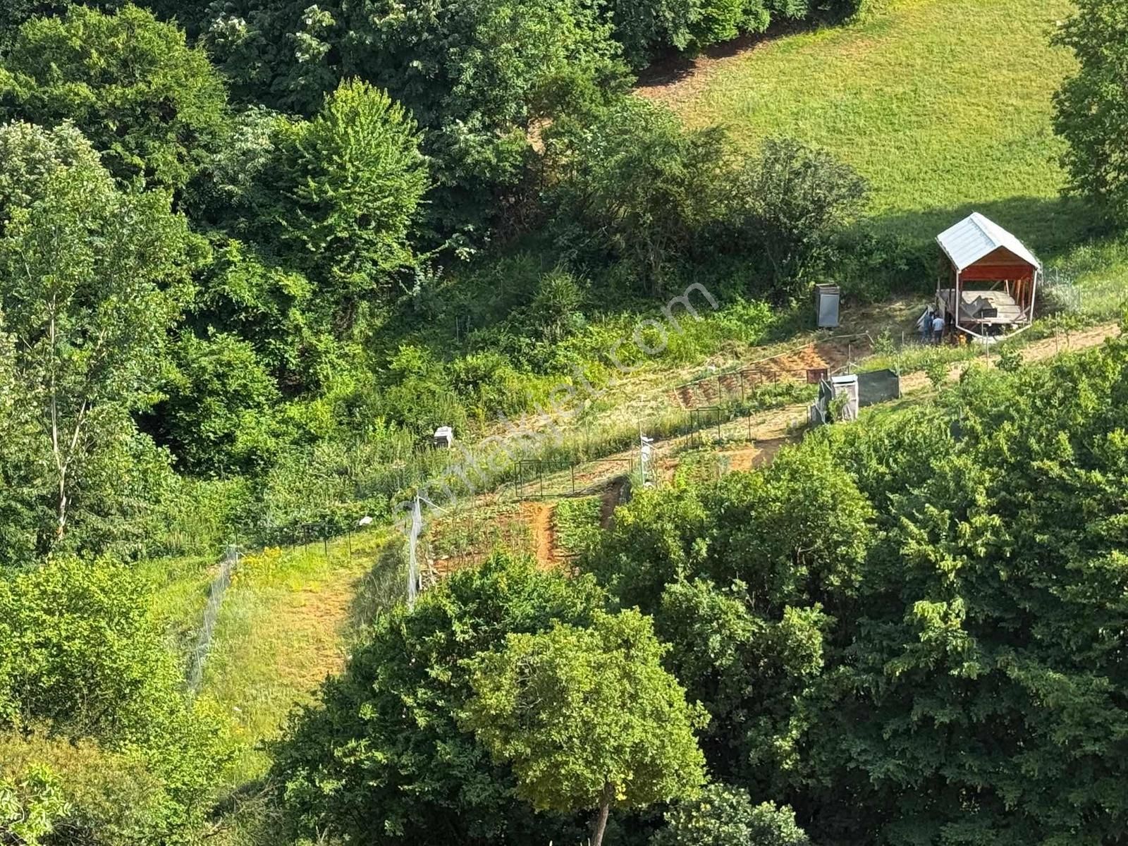 Beynil'den Satılık Kestel Yağmurlu 300m2 Hobi Bahçesi - Görsel 7