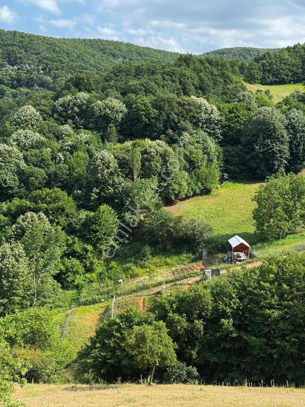 Beynil'den Satılık Kestel Yağmurlu 300m2 Hobi Bahçesi - Görsel 3