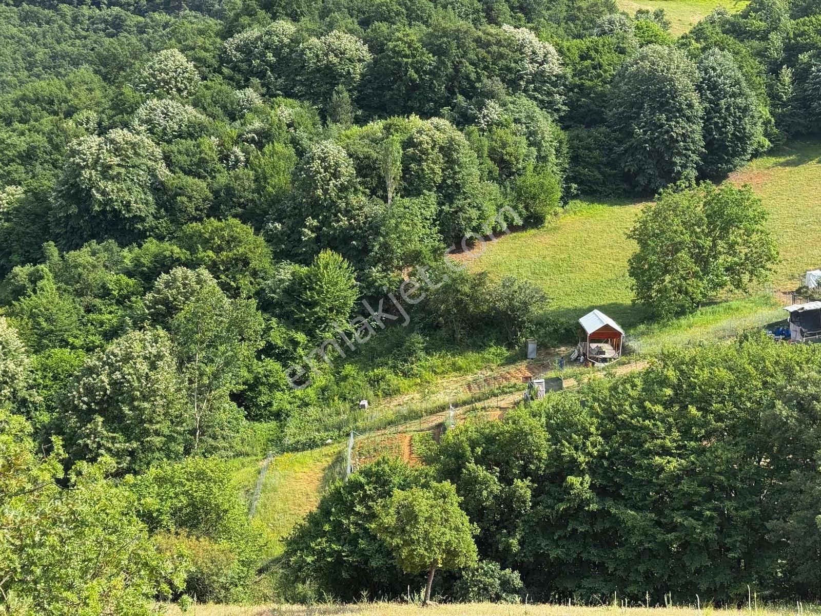 Beynil'den Satılık Kestel Yağmurlu 300m2 Hobi Bahçesi - Görsel 11