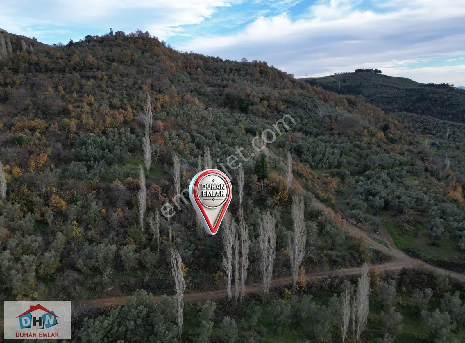 Duhan Emlak'tan Orhangazi Yeniköy'de 3.268m2 Zeytinlik - Görsel 5