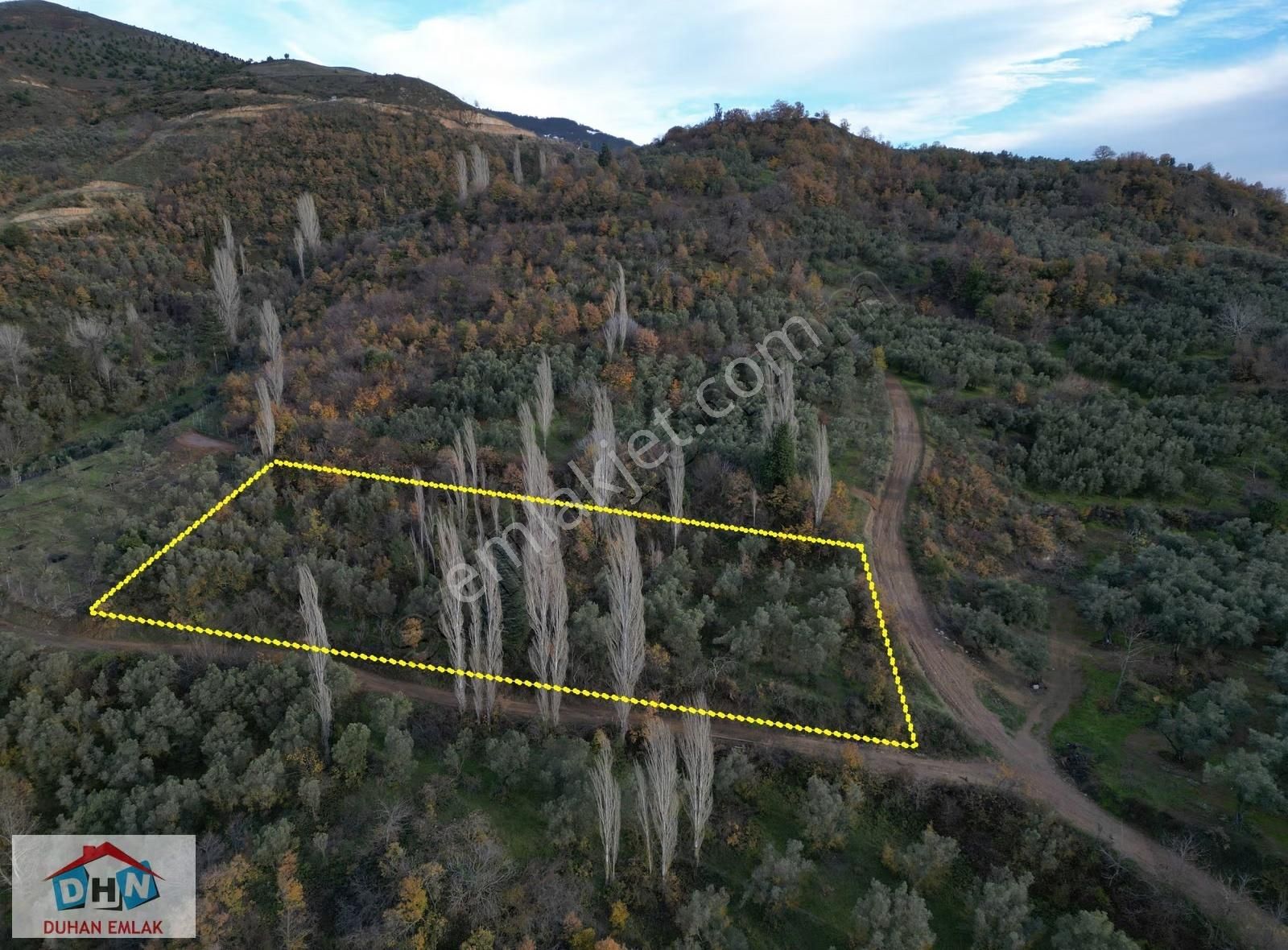 Duhan Emlak'tan Orhangazi Yeniköy'de 3.268m2 Zeytinlik