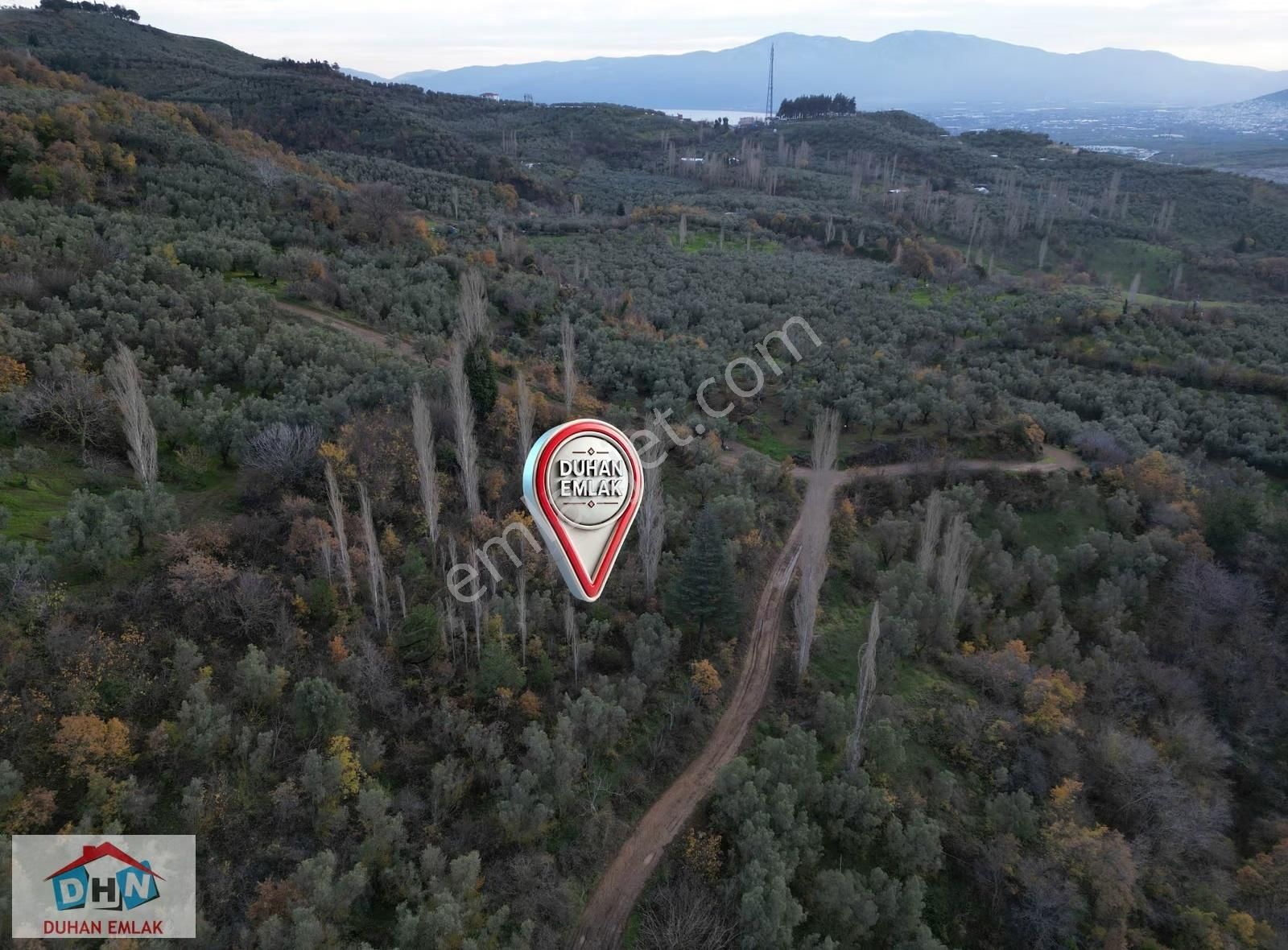 Duhan Emlak'tan Orhangazi Yeniköy'de 3.268m2 Zeytinlik - Görsel 21