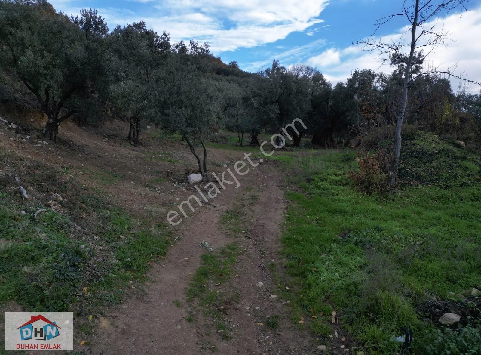 Duhan Emlak'tan Orhangazi Yeniköy'de 3.268m2 Zeytinlik - Görsel 11