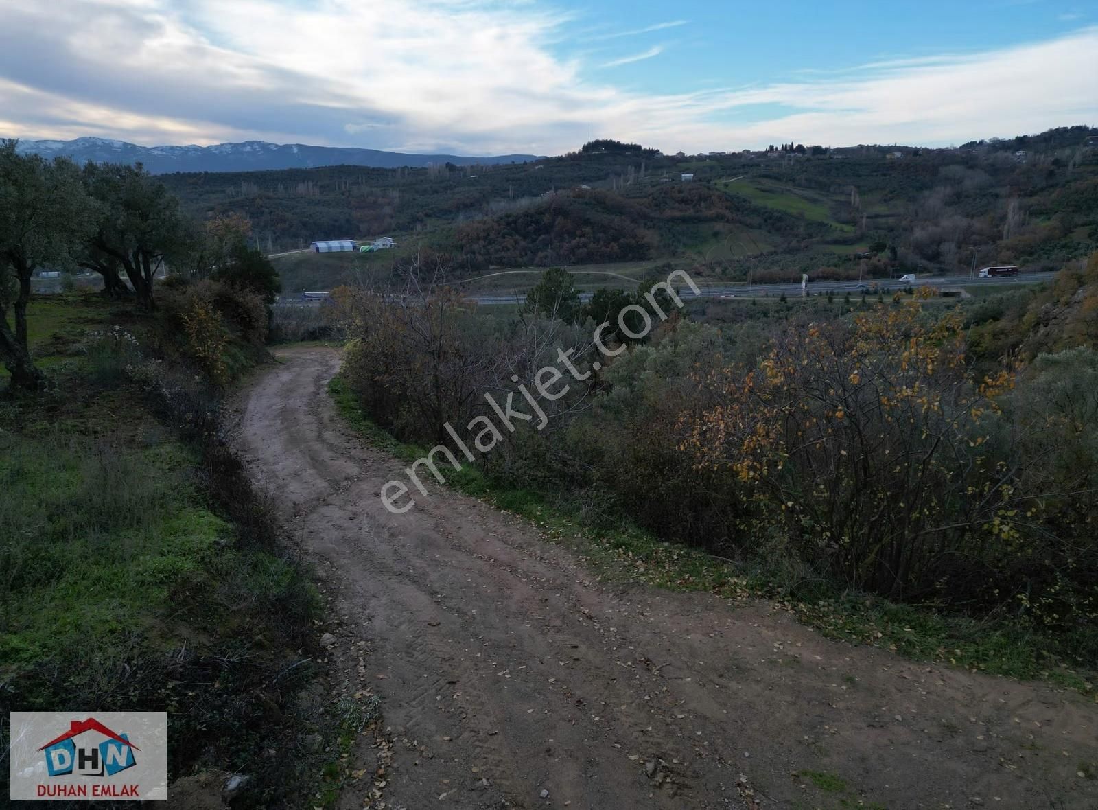 Duhan Emlak'tan Orhangazi Yeniköy'de 3.268m2 Zeytinlik - Görsel 14