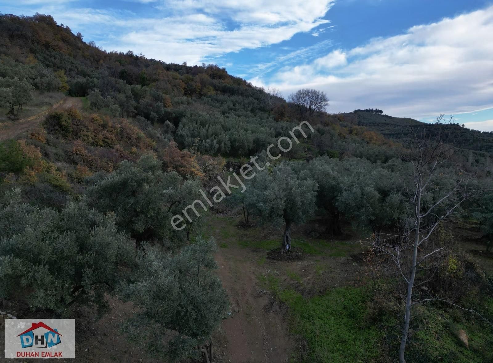 Duhan Emlak'tan Orhangazi Yeniköy'de 3.268m2 Zeytinlik - Görsel 26