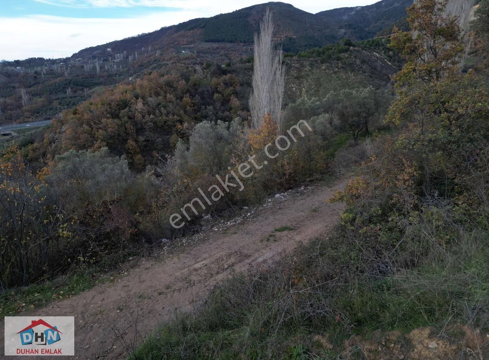 Duhan Emlak'tan Orhangazi Yeniköy'de 3.268m2 Zeytinlik - Görsel 25