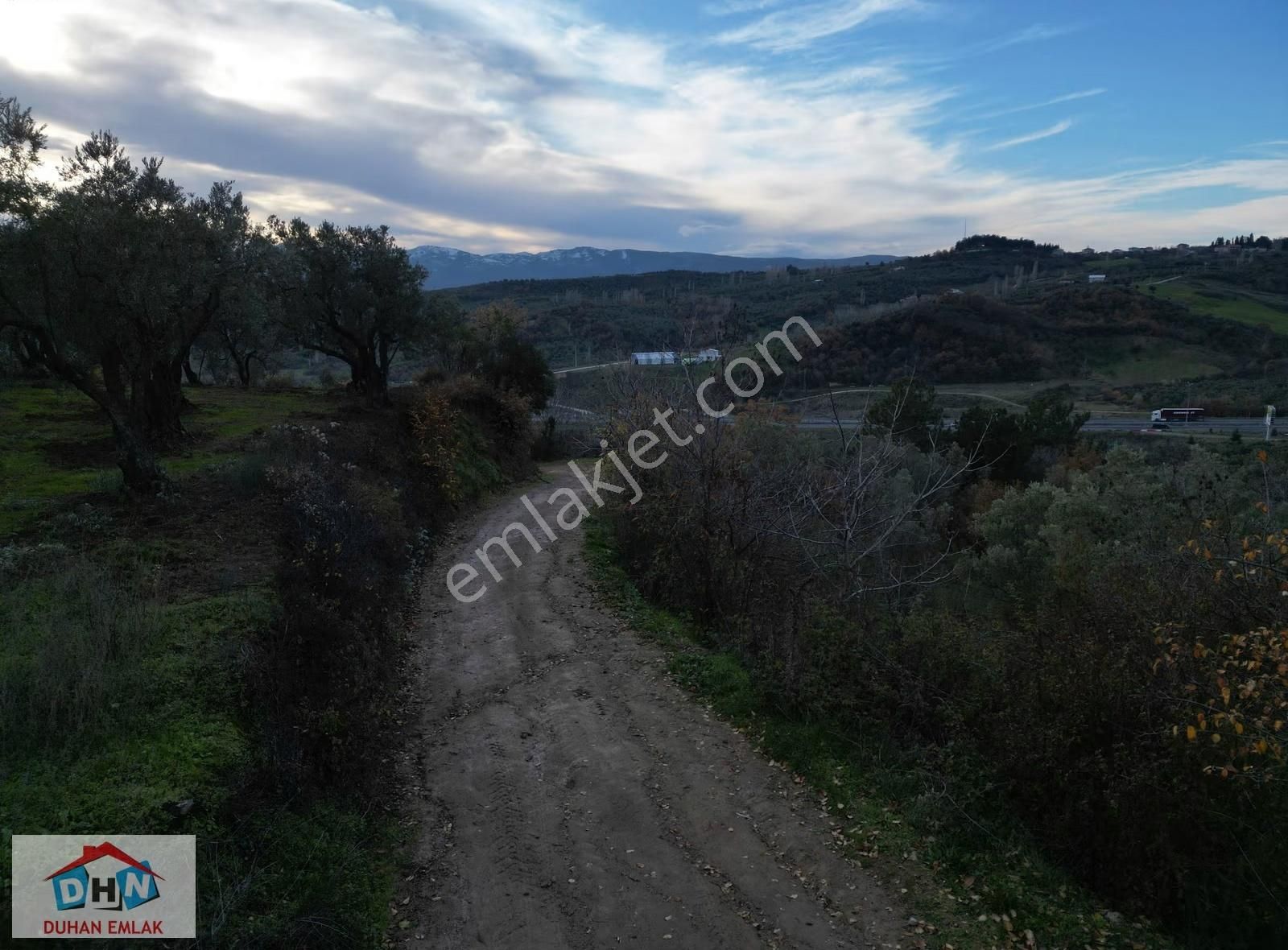 Duhan Emlak'tan Orhangazi Yeniköy'de 3.268m2 Zeytinlik - Görsel 18