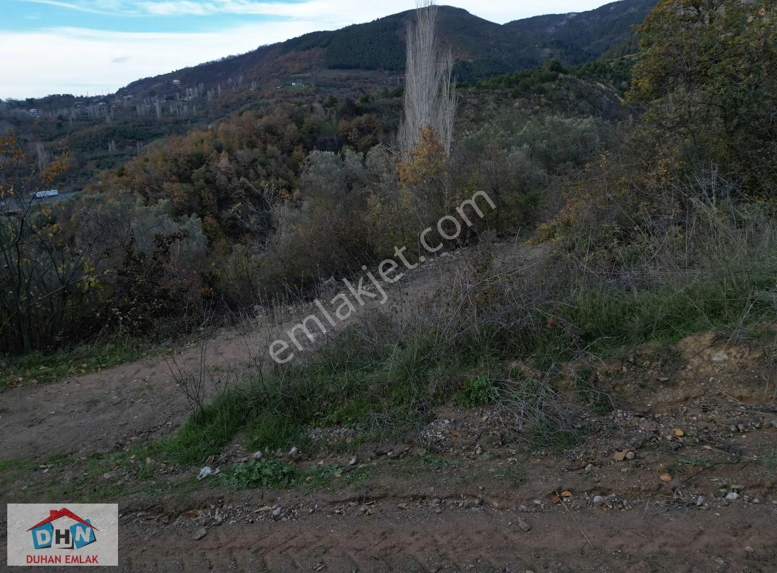 Duhan Emlak'tan Orhangazi Yeniköy'de 3.268m2 Zeytinlik - Görsel 8