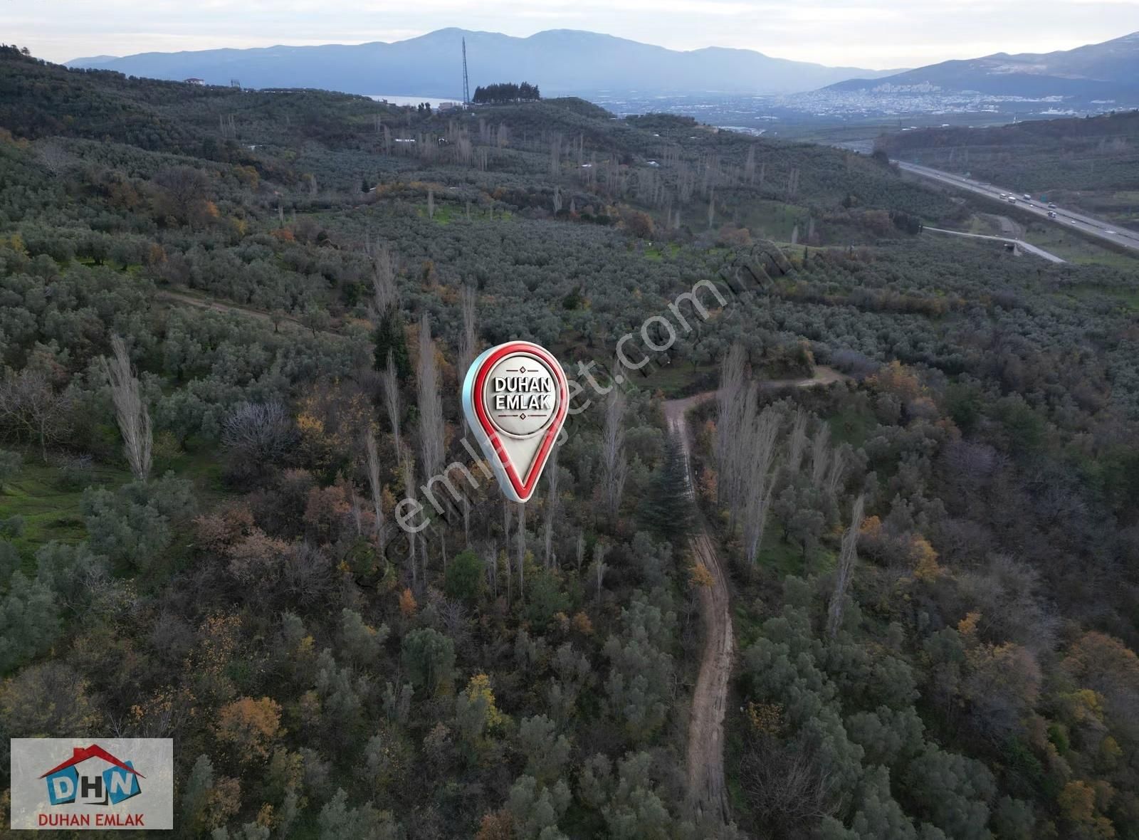 Duhan Emlak'tan Orhangazi Yeniköy'de 3.268m2 Zeytinlik - Görsel 7