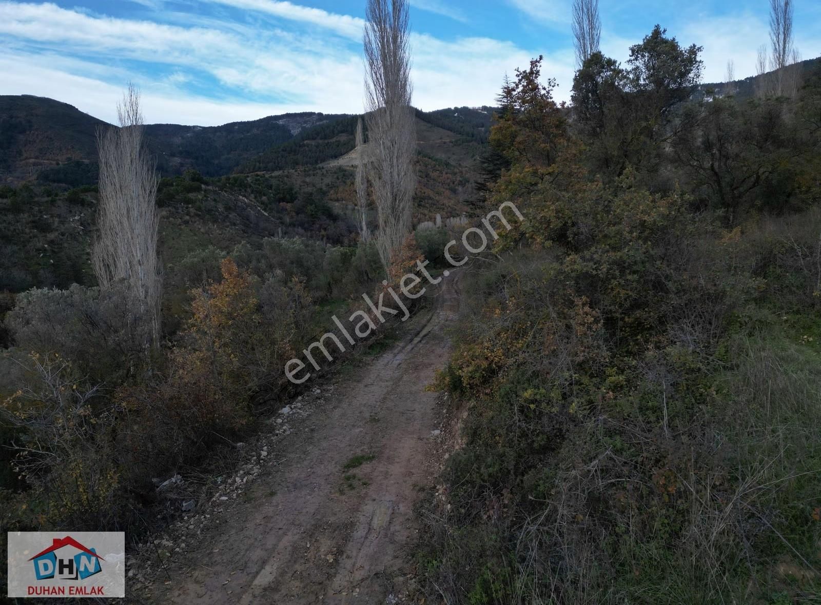 Duhan Emlak'tan Orhangazi Yeniköy'de 3.268m2 Zeytinlik - Görsel 9