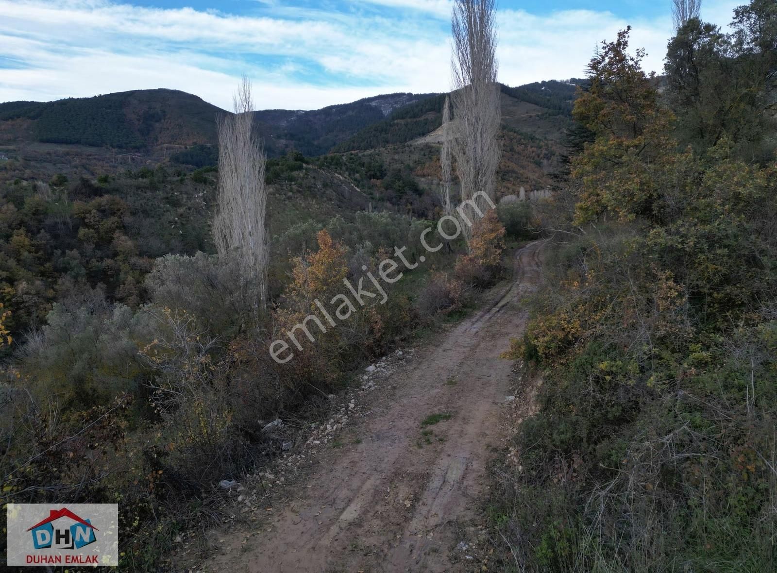 Duhan Emlak'tan Orhangazi Yeniköy'de 3.268m2 Zeytinlik - Görsel 4