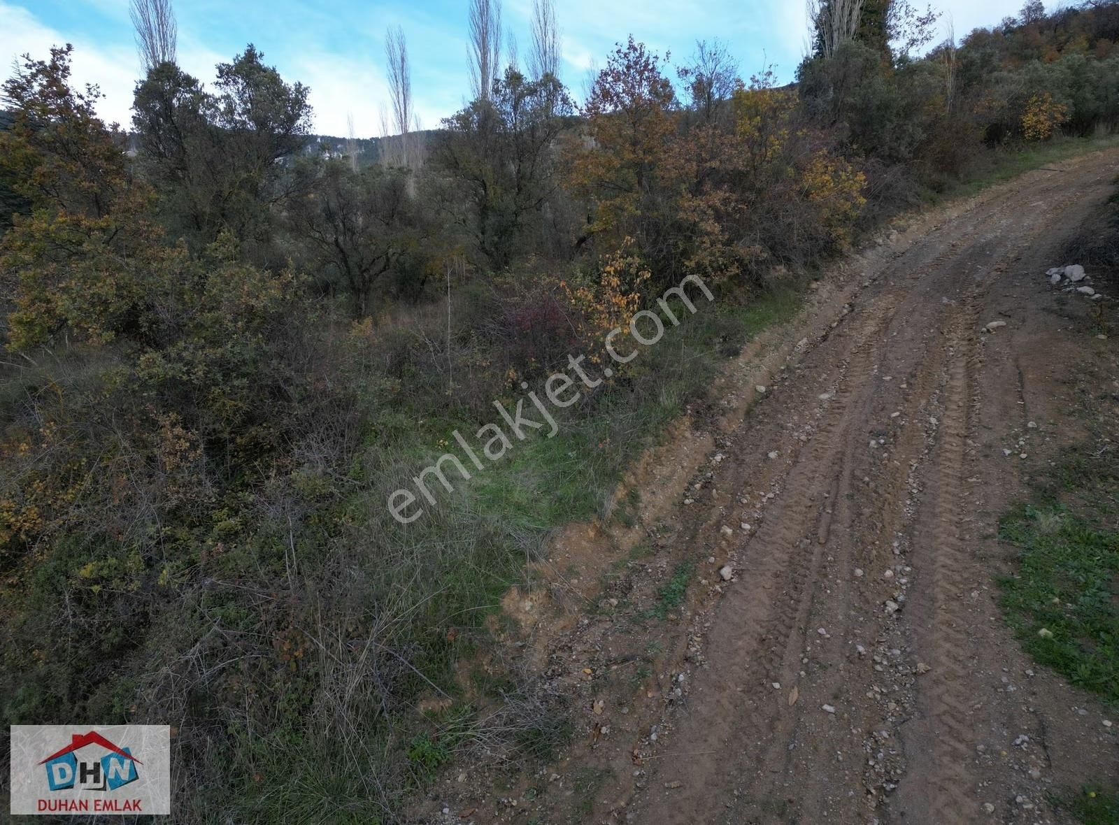 Duhan Emlak'tan Orhangazi Yeniköy'de 3.268m2 Zeytinlik - Görsel 24
