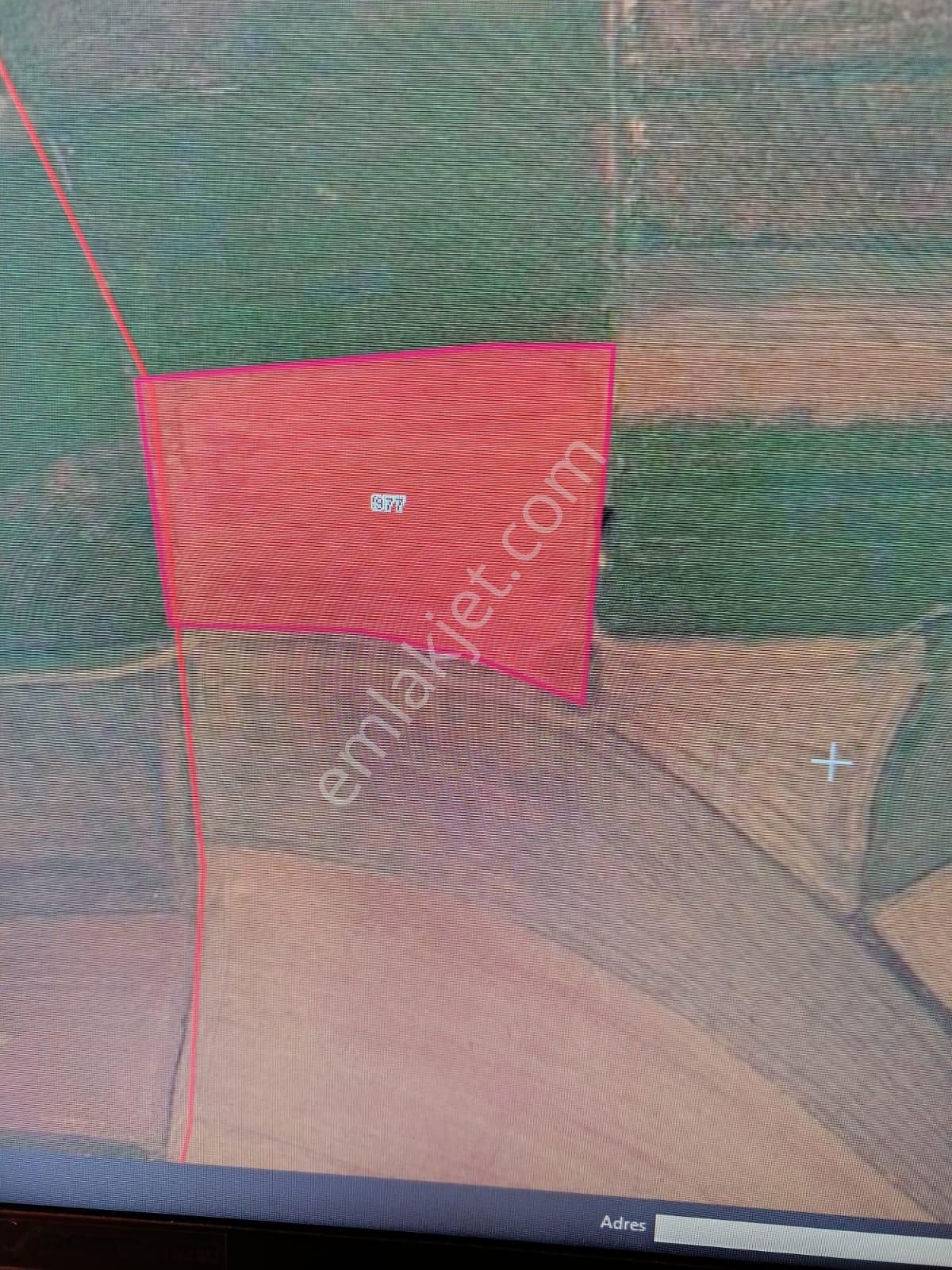 İhsaniye Karacahmet Köyü Verimli Tarla - Görsel 5