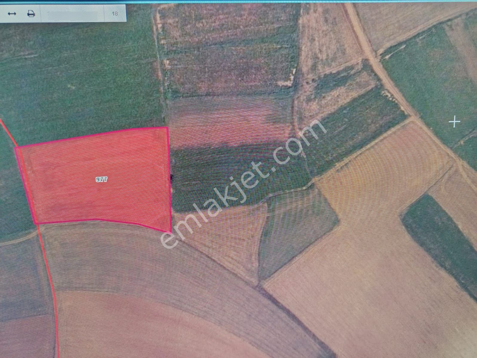 İhsaniye Karacahmet Köyü Verimli Tarla