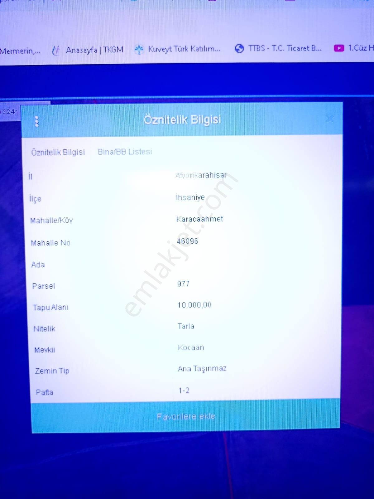 İhsaniye Karacahmet Köyü Verimli Tarla - Görsel 2