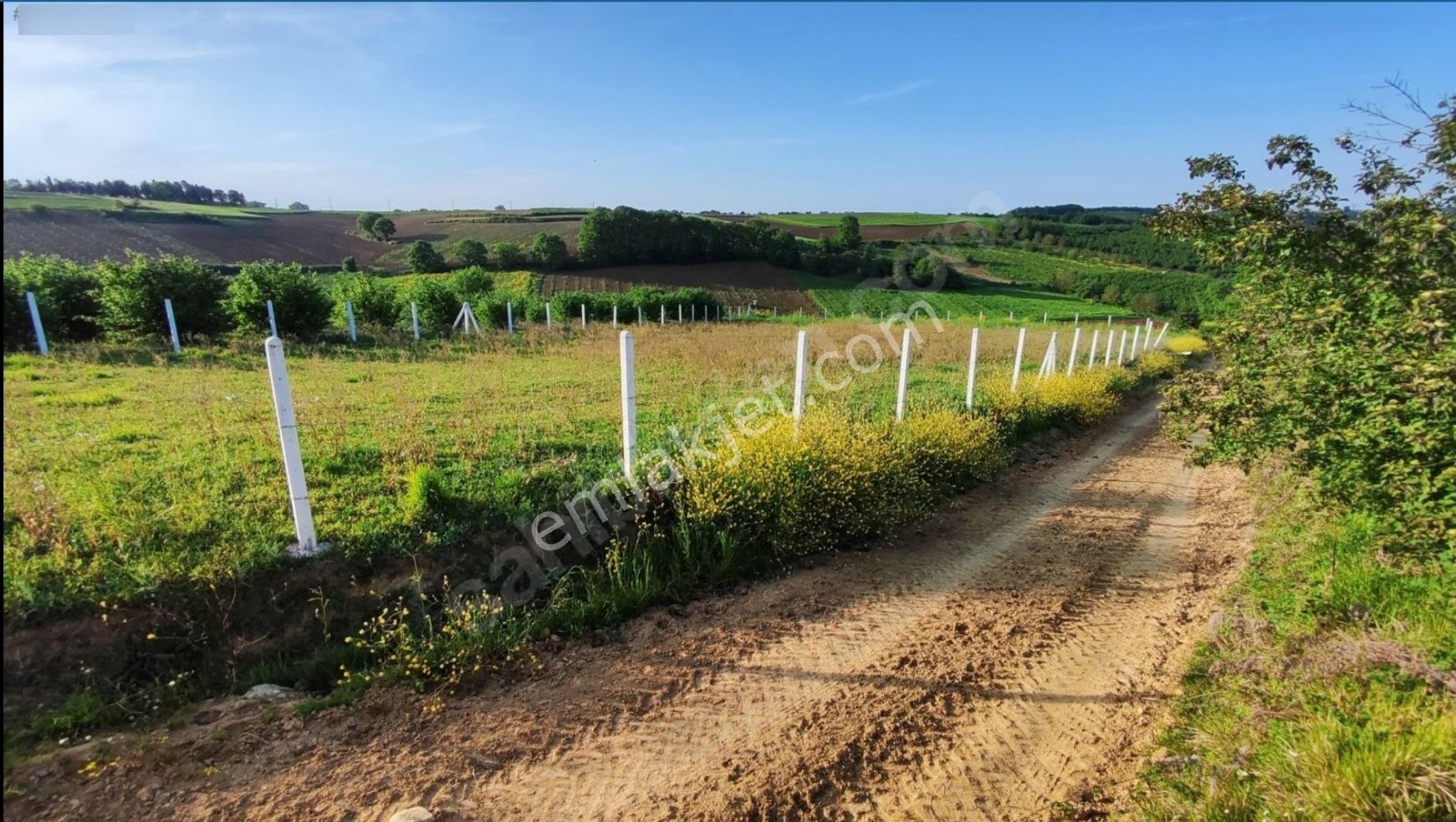 Sahibinden Yatırımlık 1827 M2 Fırsat Arazi - Araç & Daire Takaslı - Görsel 5