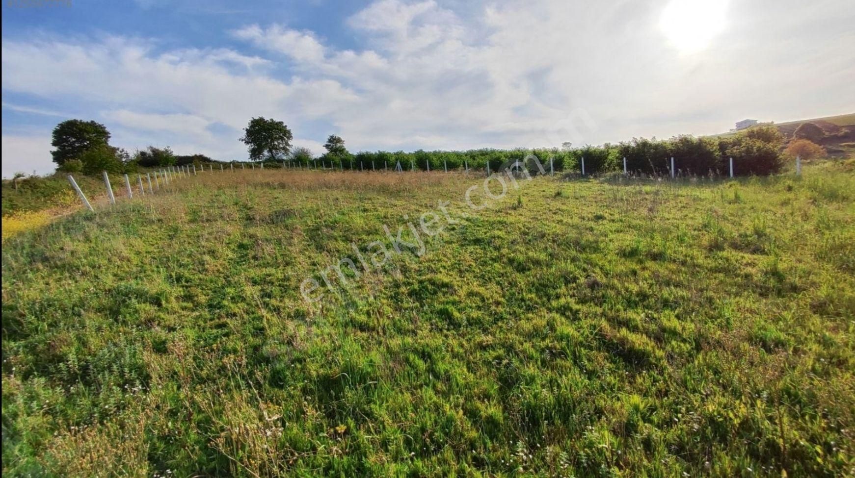 Sahibinden Yatırımlık 1827 M2 Fırsat Arazi - Araç & Daire Takaslı - Görsel 9