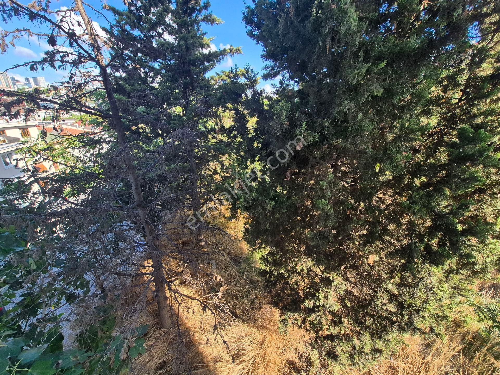 Ortaköy'de 500 M² Satılık 5 Katlı Villa/ Bina - Görsel 6