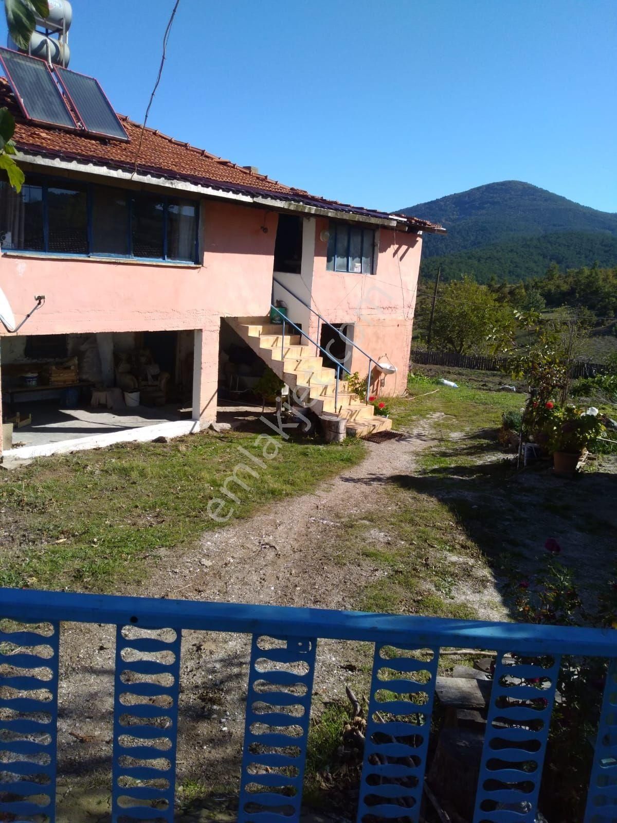 Çanakkale Bayramiç Korucak Köyünde Sahibinden Satılık - Görsel 7