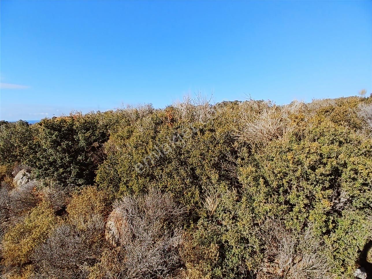 Ayvacık Babakale'de Deniz Manzaralı İmarlı Arsa - Görsel 6