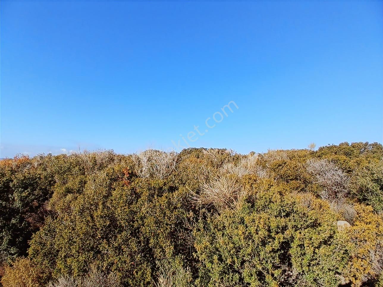 Ayvacık Babakale'de Deniz Manzaralı İmarlı Arsa - Görsel 12