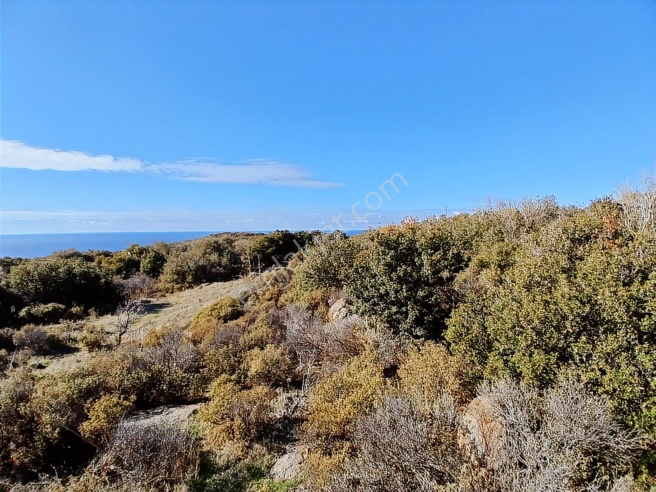 Ayvacık Babakale'de Deniz Manzaralı İmarlı Arsa - Görsel 2