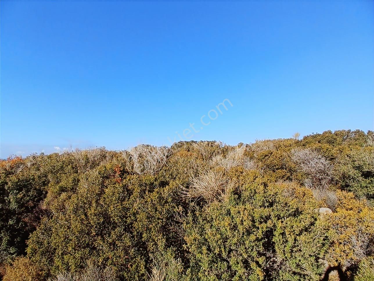Ayvacık Babakale'de Deniz Manzaralı İmarlı Arsa - Görsel 13