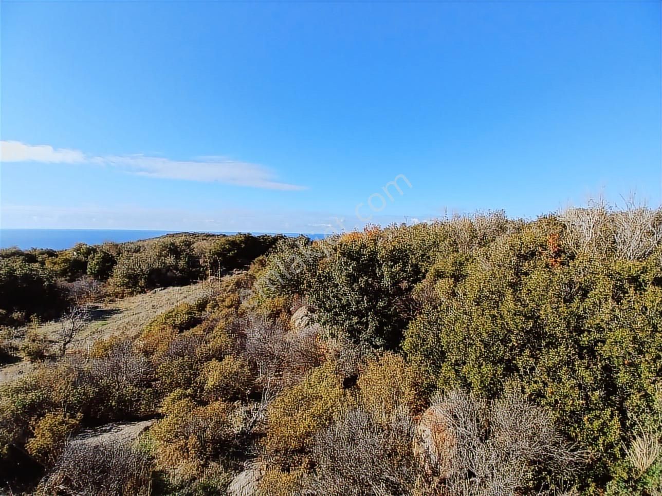 Ayvacık Babakale'de Deniz Manzaralı İmarlı Arsa - Görsel 7