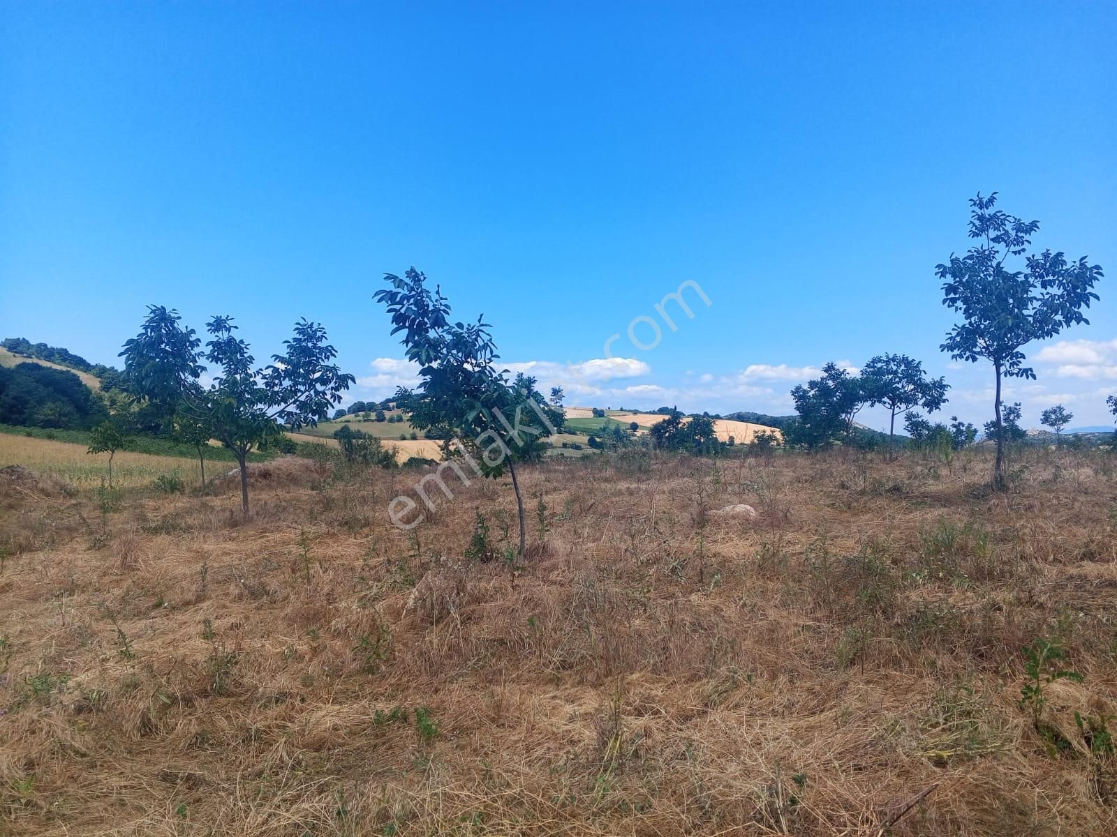 Yenişehir Kızılhisar'da 15,598,m2 Yolu Suyu Olan Ceviz Bahçesi - Görsel 5