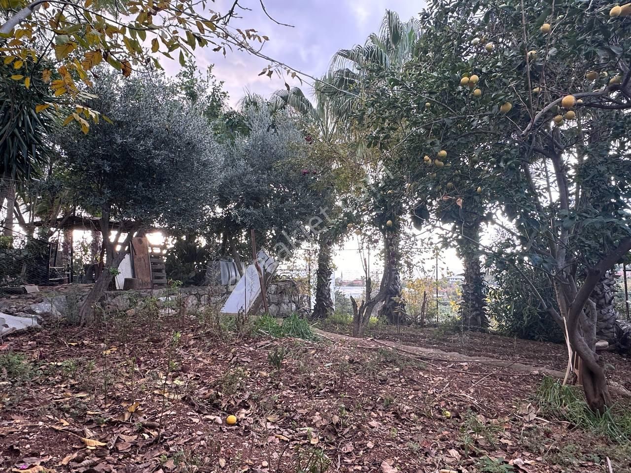 Yeşilöz'de 850 M2 Bahçeli Müstakil 3 Katlı Ev-deniz Manzaralı - Görsel 12