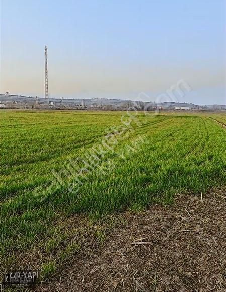 Eskikaraağaç Göl Manzaralı 10dönüm Kullanımlı Acil Satılık - Görsel 3