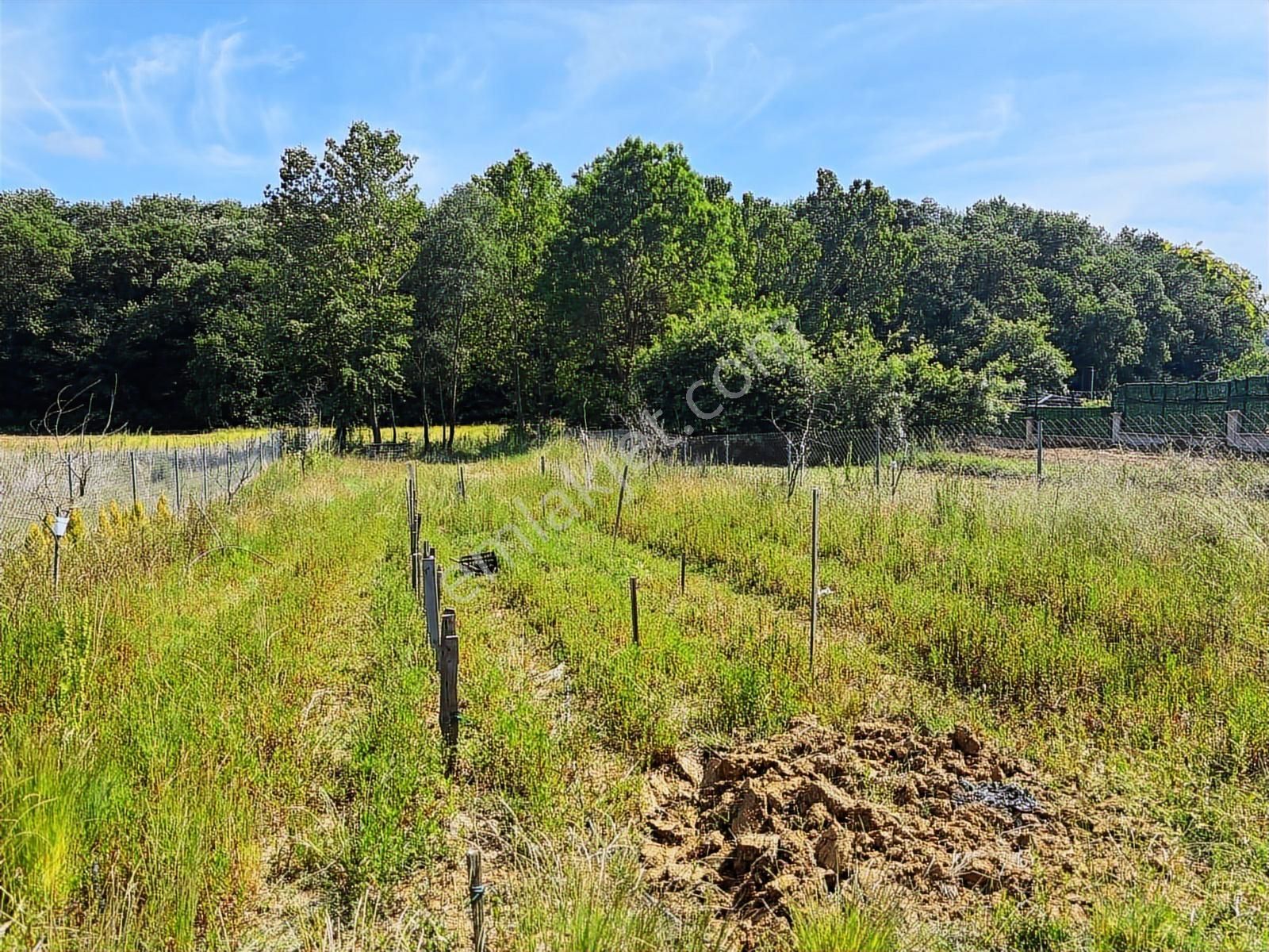 Kocaeli Derince Tahtalı Göletinin Yanında 907m2 Fırsat Arsa - Görsel 7