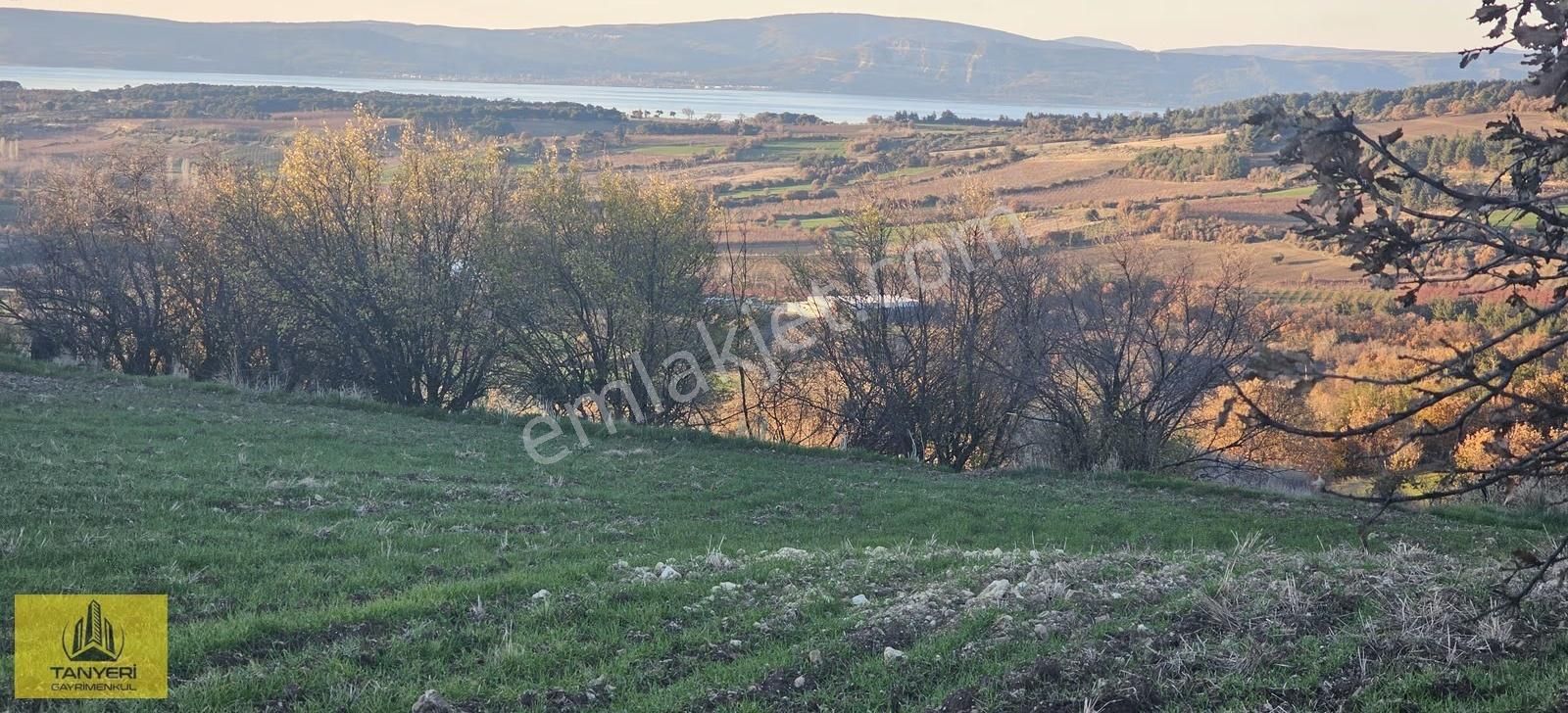 Merkez Kızılkeçili Köyü Deniz Manzara Köye 1.5 Km Satılık Tarla - Görsel 16