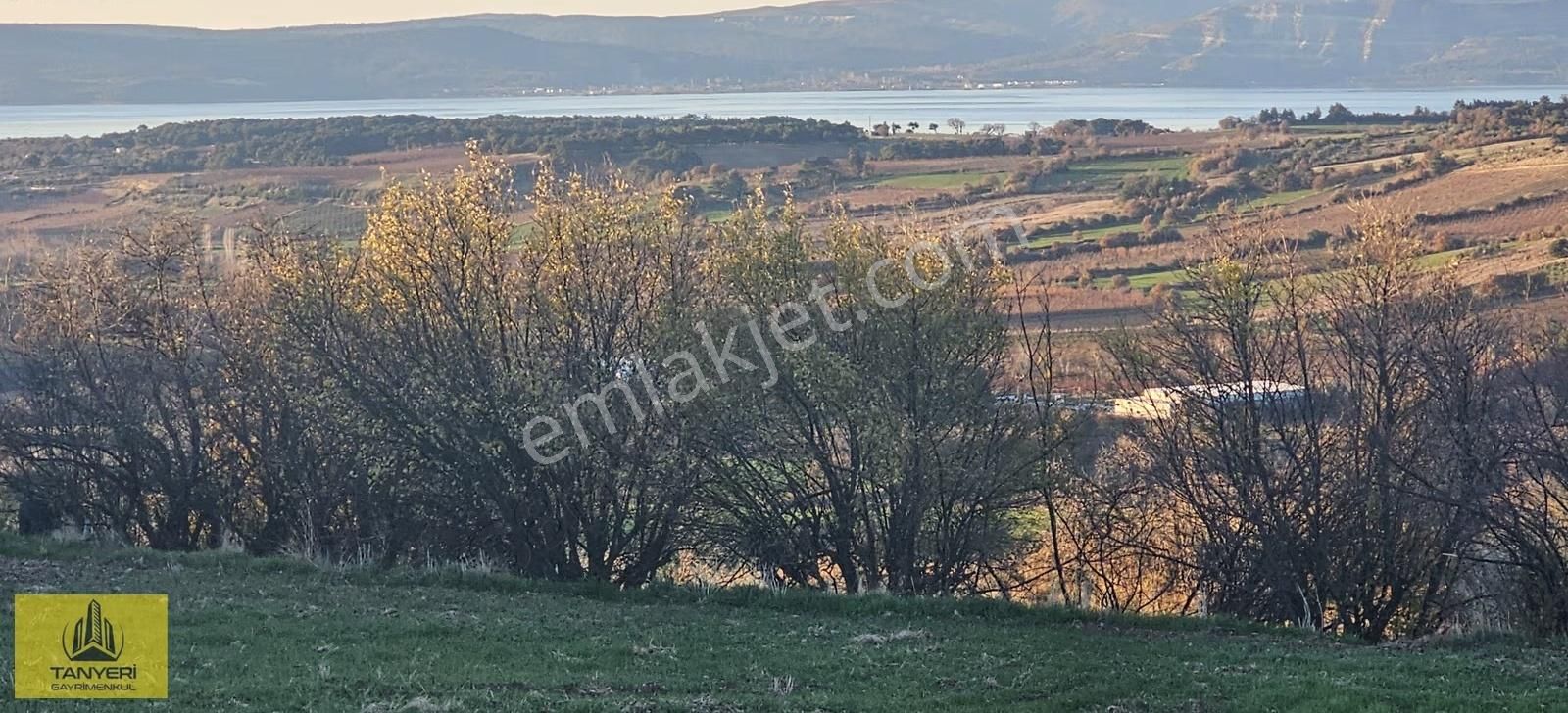 Merkez Kızılkeçili Köyü Deniz Manzara Köye 1.5 Km Satılık Tarla - Görsel 3