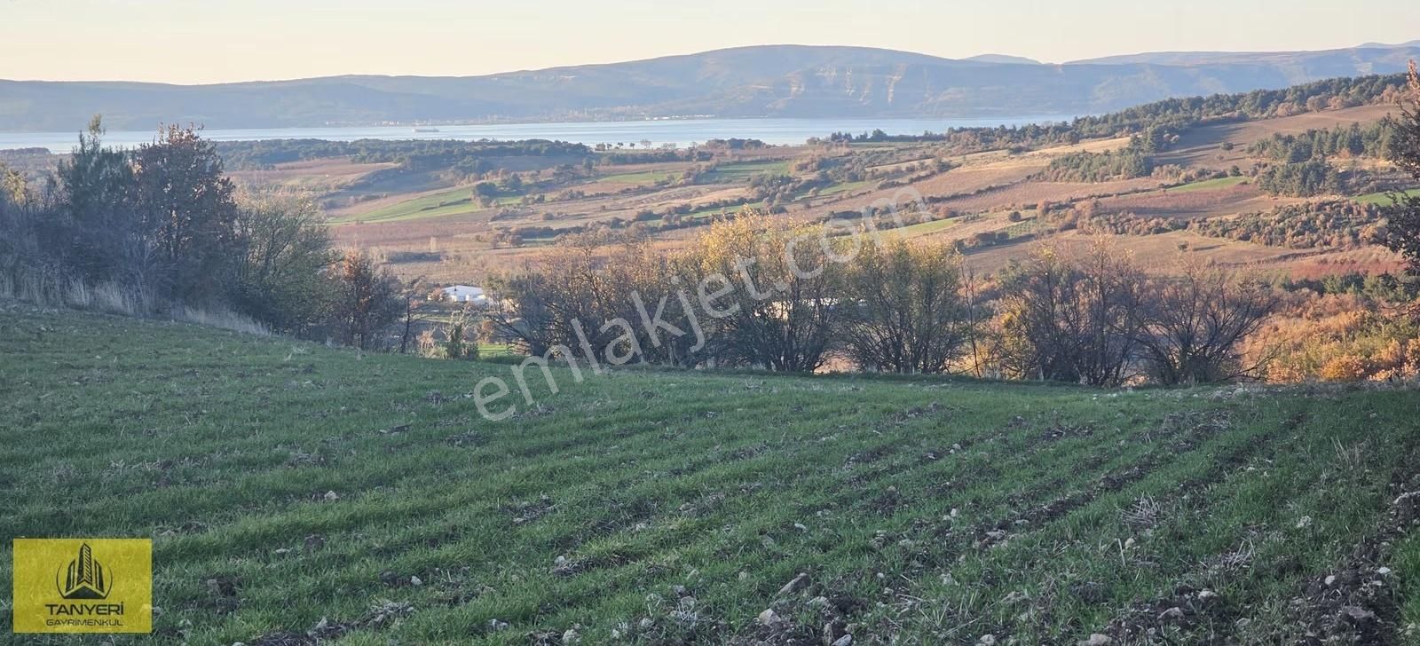 Merkez Kızılkeçili Köyü Deniz Manzara Köye 1.5 Km Satılık Tarla - Görsel 4