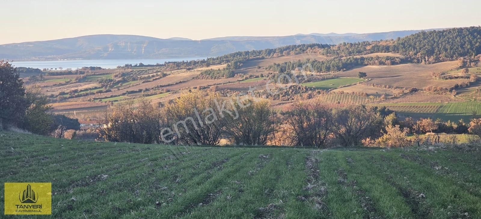 Merkez Kızılkeçili Köyü Deniz Manzara Köye 1.5 Km Satılık Tarla - Görsel 6