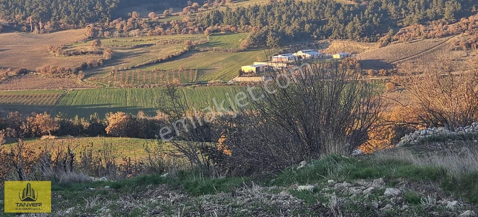 Merkez Kızılkeçili Köyü Deniz Manzara Köye 1.5 Km Satılık Tarla - Görsel 19