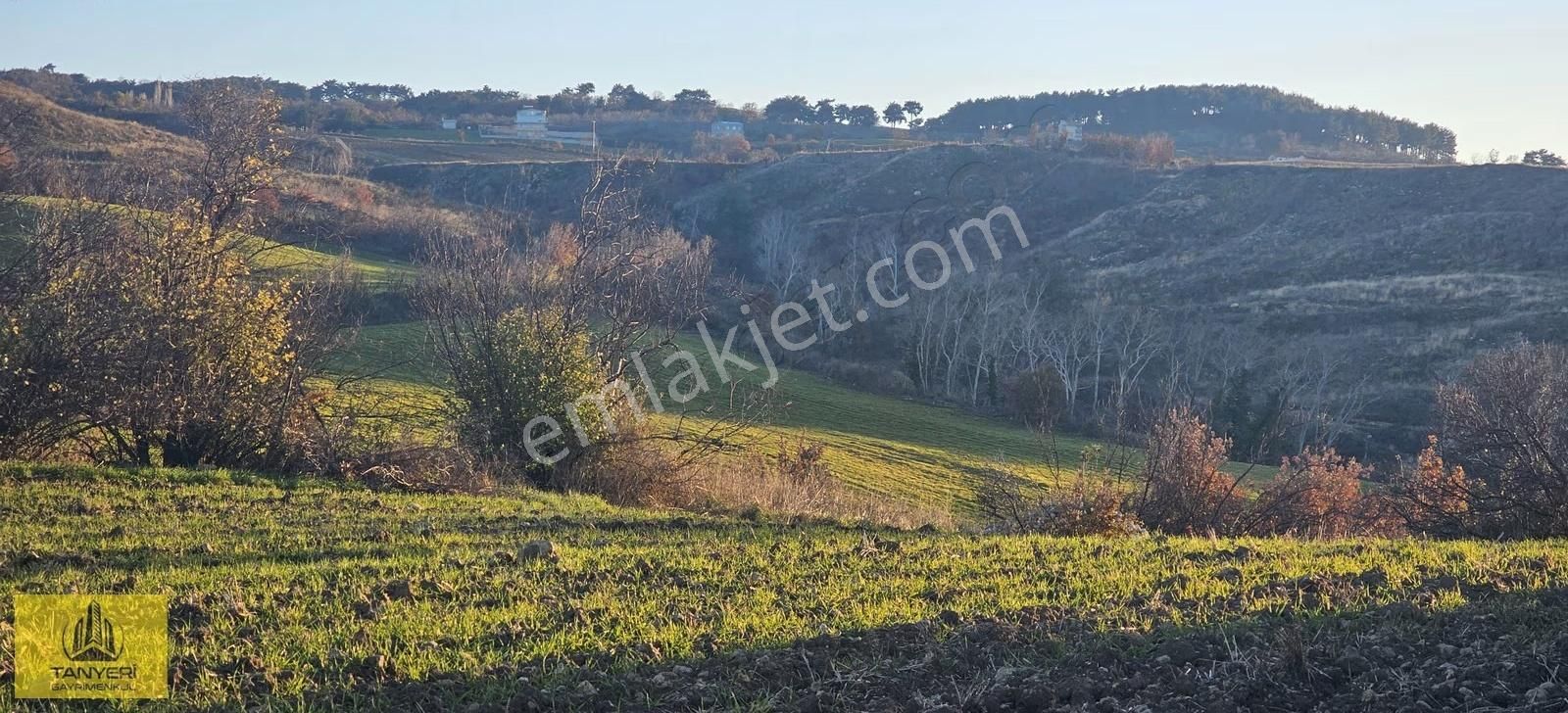 Merkez Kızılkeçili Köyü Deniz Manzara Köye 1.5 Km Satılık Tarla - Görsel 12