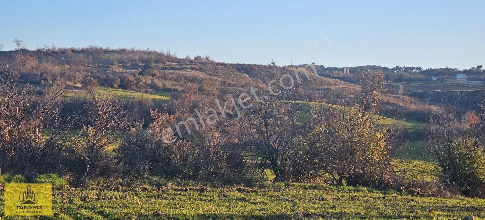 Merkez Kızılkeçili Köyü Deniz Manzara Köye 1.5 Km Satılık Tarla - Görsel 21