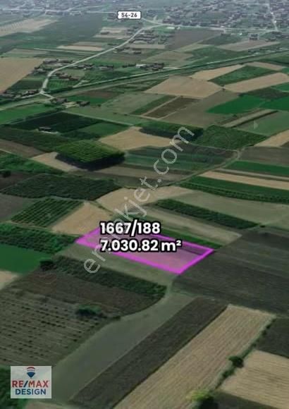 Sakarya Ekinli Horozlarda Remax Desıgn Den Satılık Tarla