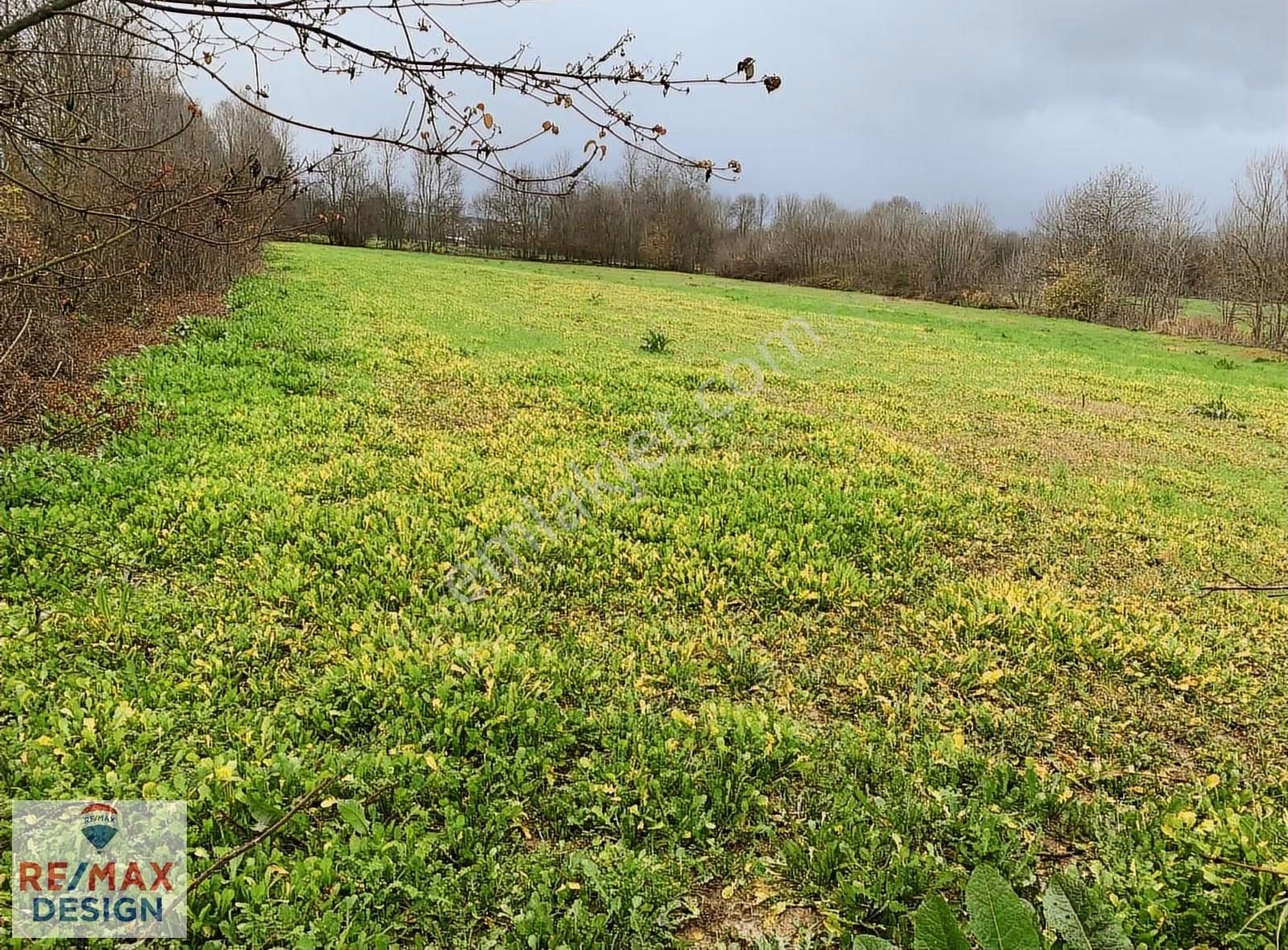 Sakarya-kaynarca Turnalı İşaret Mah.'nde Satılık 6.856 M2 Tarka - Görsel 5