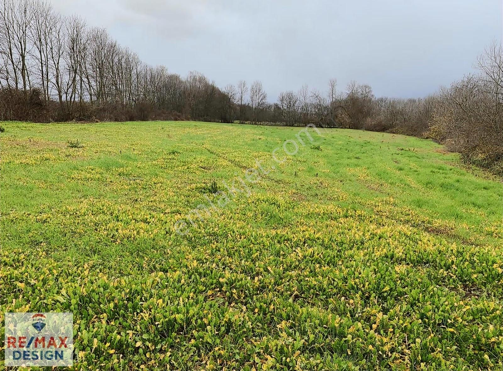 Sakarya-kaynarca Turnalı İşaret Mah.'nde Satılık 6.856 M2 Tarka - Görsel 4