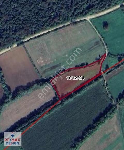 Sakarya-kaynarca Turnalı İşaret Mah.'nde Satılık 6.856 M2 Tarka - Görsel 17