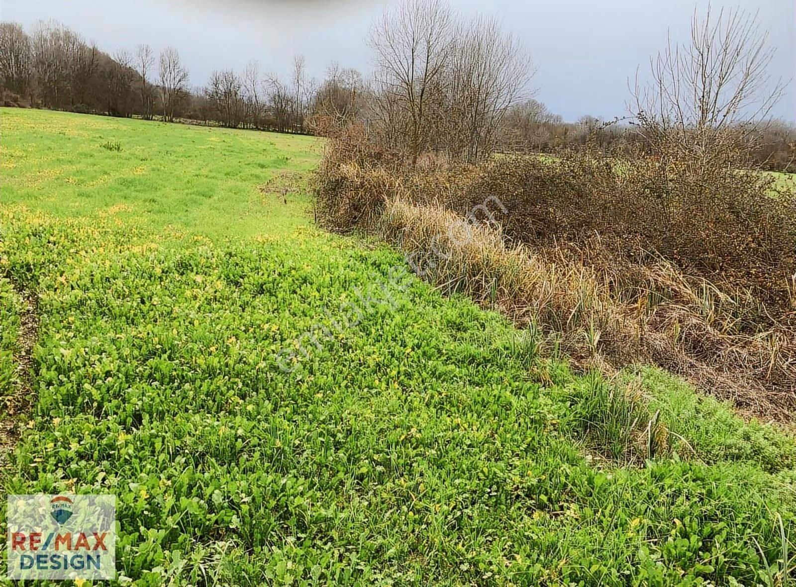 Sakarya-kaynarca Turnalı İşaret Mah.'nde Satılık 6.856 M2 Tarka - Görsel 19