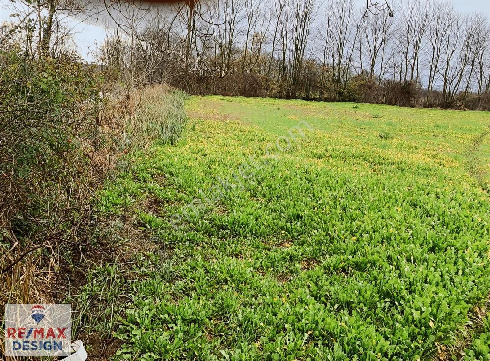 Sakarya-kaynarca Turnalı İşaret Mah.'nde Satılık 6.856 M2 Tarka - Görsel 16