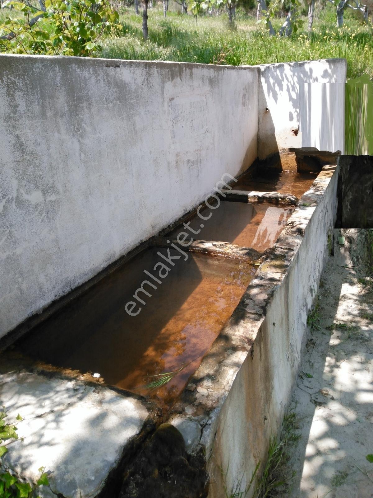 Torunlar Emlaktan Satılık Deniz Manzaralı Yatırımlık Zeytinlik - Görsel 13