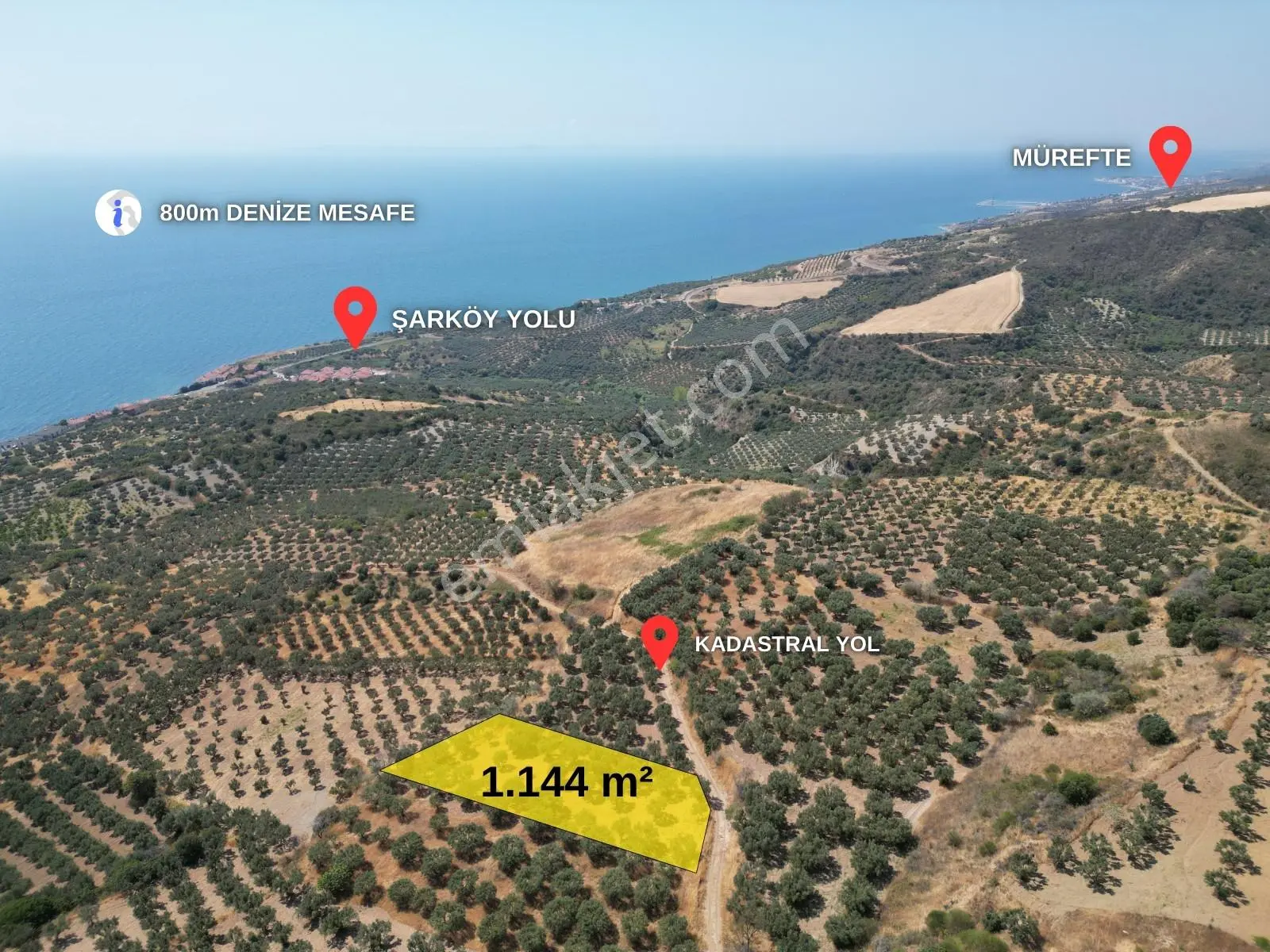 Torunlar Emlaktan Satılık Deniz Manzaralı Yatırımlık Zeytinlik