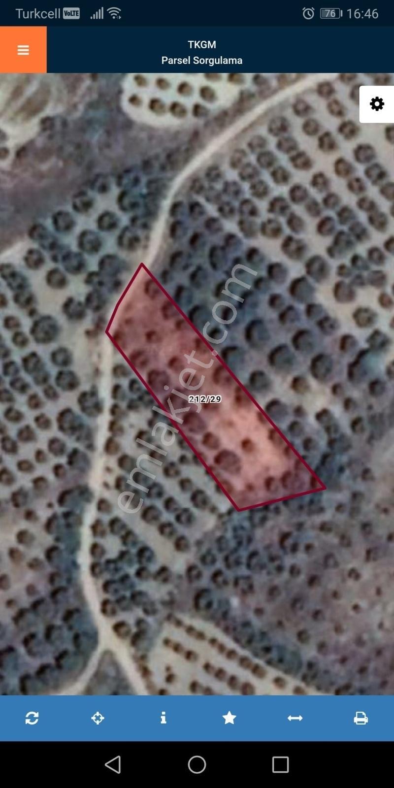 Torunlar Emlaktan Satılık Deniz Manzaralı Yatırımlık Zeytinlik - Görsel 15